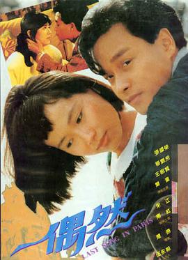 繁花 国产电视剧免费观看